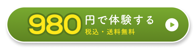 980円で体験する。税込/送料無料